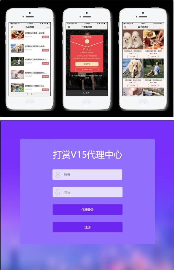 DS正版视频打赏系统V15 代理 试看