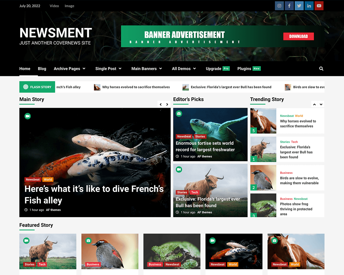 Newsment 免费WordPress新闻主题