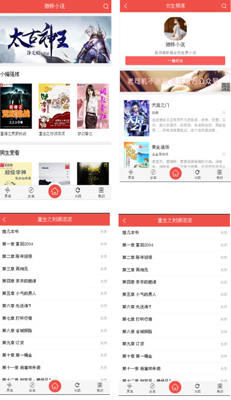 VIP小说防封版V5.1.2公众号版 修复自动卡密 微擎微赞模块