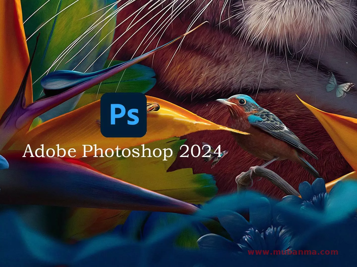 Adobe Photoshop 2024破解版中文最新版免费永久激活 v25.3.1.241