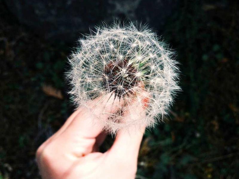 中央电大网络操作系统教程（15讲）_操作系统教程