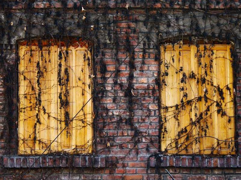 linux视频基础教程_操作系统教程