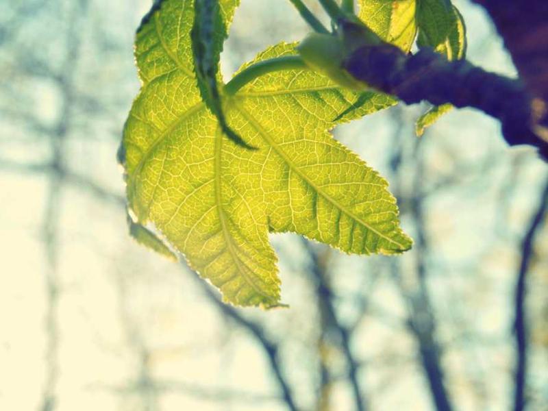MongoDB 视频教程详解_数据库教程