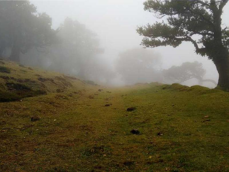 2013云计算架构师峰会PPT汇总